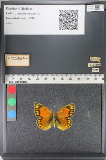 Media type: image;   Entomology 125402
